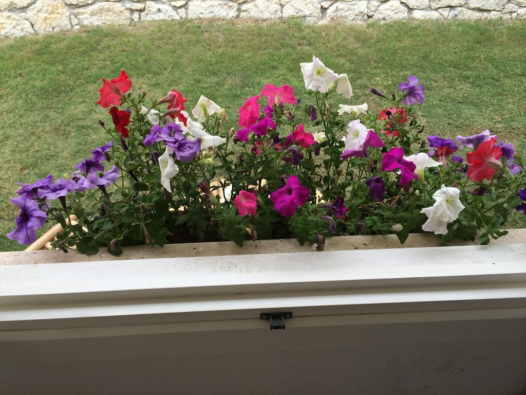 Alacati Roka Hotel Pokoj fotografie